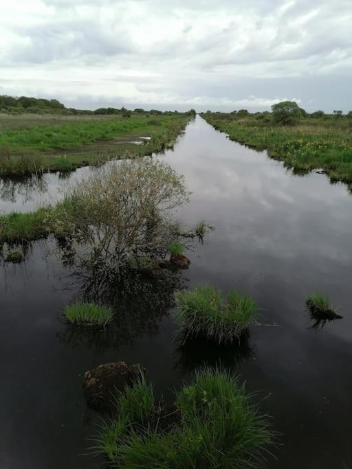 Gite A Saint Andre Des Eaux Exteriör bild
